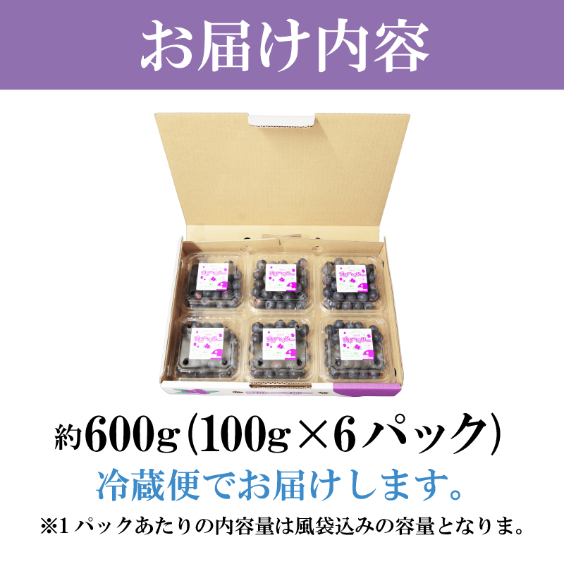 【先行予約】 【2025年6月より順次発送】  ブルーベリー 大粒 600g (100g×6パック)  採れたて 生ブルーベリー 冷蔵便 産地直送 新鮮 人気 果物 おすすめ フルーツ 四国 徳島 小松島 【送料無料】|  小分け 産地 直送 新鮮 夏 アイス シャーベット ソフトクリーム ジュース スムージー ヨーグルト 朝食 旬 ふるさと納税ブルーベリー ふるさとブルーベリー　