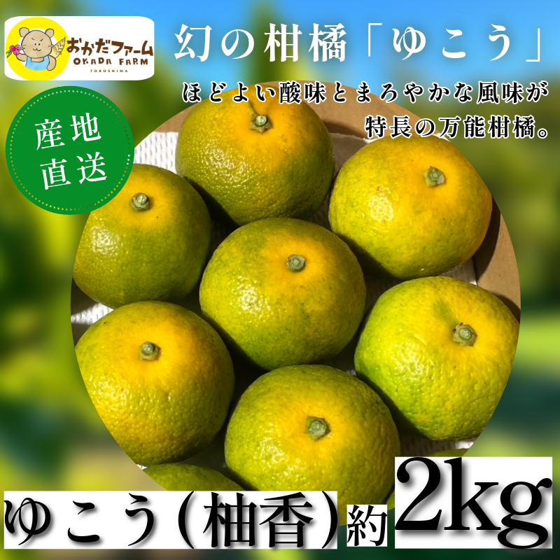 ゆこう 2kg 柑橘 徳島 みかん 柚子 すだち 酢 お酢 果汁 お酒 焼き魚 さっぱり オーガニック ふるさと納税 人気 