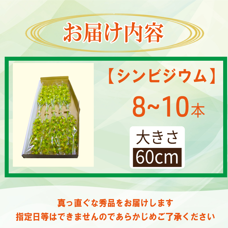 シンビジウム 8～10本 生花 お花 花 シンビジューム 秀品 