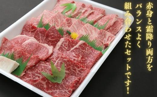 定期便 3回 牛肉 赤身 セット 600g × 3ヵ月 計1.8kg 国産 黒毛和牛 阿波牛 冷凍 お肉 焼肉 BBQ バーベキュー
