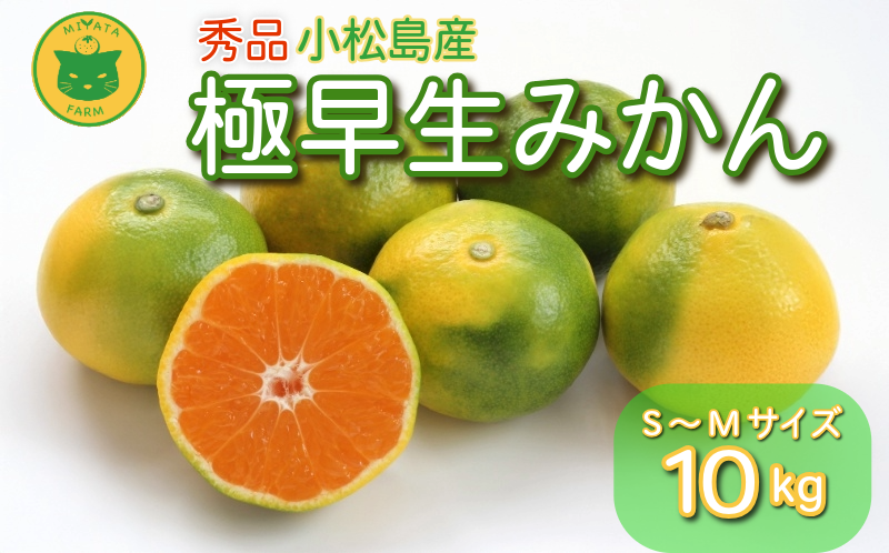 【2026年10月発送】 みかん 秀品 極早生みかん 10kg 蜜柑 ミカン 柑橘 旬 フルーツ 果実 ジュース 小松島市 甘い ジューシー デザート 産地直送
