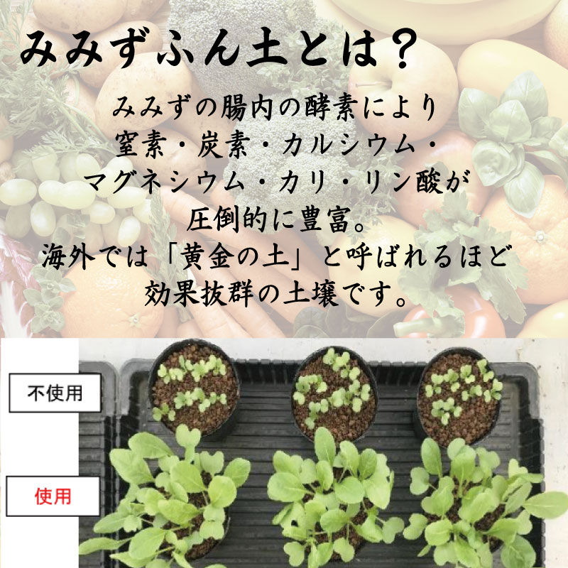 堆肥 5L (2.5kg) 肥料 たい肥 みみず ミミズ みみず太郎 100 有機 雑草 糞 無臭 観葉植物 ガーデニング お花 花 野菜 家庭菜園 畑 土 田んぼ 微生物資材 徳島県 小松島市