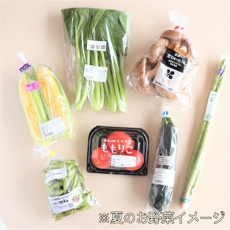 エシカル野菜5種とお米のセット 野菜 米 新鮮 採れたて 産地直送 やさい とうもろこし トマト 減農薬 きのこ オクラ 玉ねぎ 美味しい 小松島市