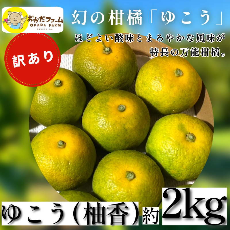 訳あり ゆこう 2kg 柑橘 徳島 みかん 柚子 すだち 酢 お酢 果汁 お酒 焼き魚 さっぱり オーガニック ふるさと納税 人気 