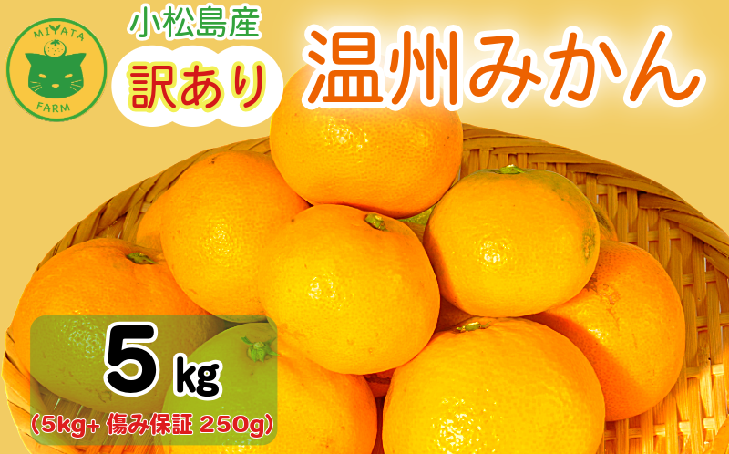 【2025年11月順次発送】 訳あり みかん 温州みかん5kg（5kg+傷み保証250g） ミカン 蜜柑 甘い フルーツ 柑橘 ジュース 小松島市 オススメ 人気 ふるさと納税 5kg 10kg
