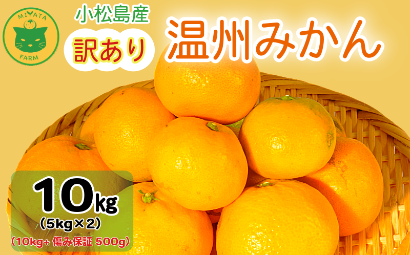 【2025年11月順次発送】 訳あり みかん 温州みかん10kg（10kg+傷み保証500g） ミカン 蜜柑 甘い フルーツ 柑橘 ジュース 小松島市 オススメ 人気 ふるさと納税 5kg 10kg
