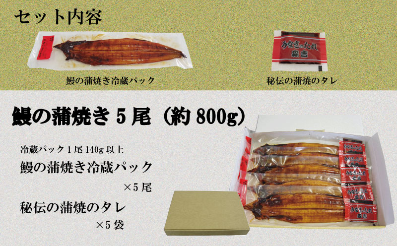 国産 うなぎ 蒲焼 5尾（約800g）冷蔵 特上うなぎ 頭付き かば焼き うなぎ蒲焼き 鰻 土用の丑の日 丑の日 夏 スタミナ たれ 秘伝 うな重 ひつまぶし 人気 地元で人気 おすすめ タレ 焼き 