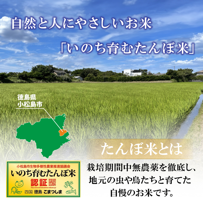 【定期便3回】 玄米 コシヒカリ 計15kg 5kg×3回 定期便 栽培期間中無農薬 ｜ 徳島県 ふるさと納税 新生活 四国 徳島 小松島 新生活 おいしい お米 米 こめ おこめ 国産 限定 ごはん ご飯 ゴハン ふるさと ランキング 人気 安全 安心 栄養 おすすめ 送料無料 国産 TKG 卵かけご飯 おにぎり おむすび いのち育む田んぼ米 生物多様性 【北海道･東北･沖縄･離島への配送不可】