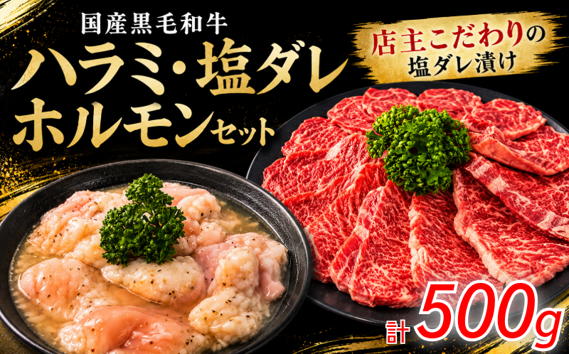 国産黒毛和牛 ハラミ・塩ダレホルモンセット計500g 肉 国産 阿波牛 ハラミ 小腸 塩だれ BBQ 夏 焼肉 おつまみ ビール 牛肉 冷凍 小松島市