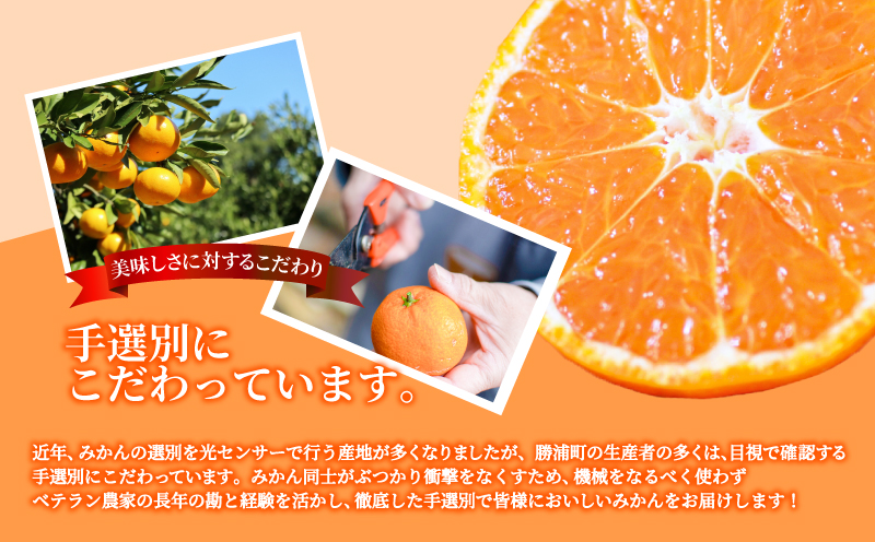 【先行予約】 2024年11月発送 みかん 10kg 秀品 M~L 国産 徳島県 勝浦産 果物 フルーツ 早生 獲れたて 蜜柑 温州 産地直送 数量限定 【北海道・東北・沖縄・離島配送不可】