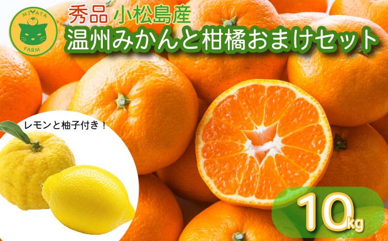 温州みかんと柑橘おまけセット 10kg 2025年10月順次発送 みかん ミカン 蜜柑 甘い フルーツ 柑橘 ジュース ゆず レモン 小松島市
