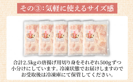 唐揚げ 2.5kg 500g×5パック 冷凍 国産 徳島県 徳島地鶏 阿波尾鶏 むね肉 家庭用 おかず おつまみ