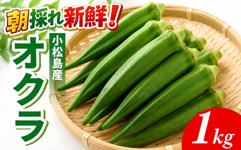 【6月下旬から発送】オクラ 1kg 新鮮 朝採れ 選べる 容量 おくら 朝どれ 野菜 夏 夏野菜 旬 サラダ 冷蔵 農地直送 国産 小松島市 