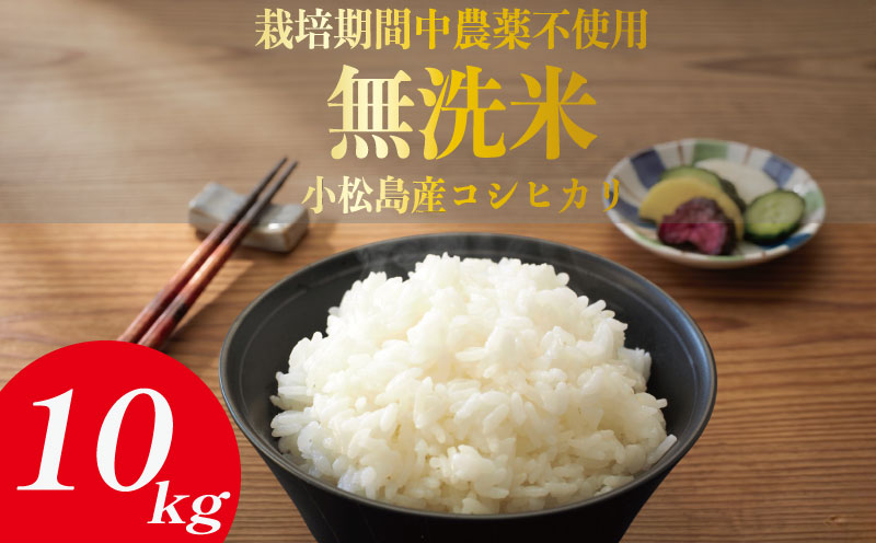 令和7年産 無洗米 10kg 栽培期間中農薬不使用 米 白米 お米 コメ こしひかり コシヒカリ ※ okome kome おむすび おにぎり 徳島県産 精米 徳島県 小松島市