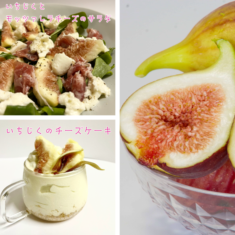 ææ¡ã å®ç ãã¡ãã 1.6kg(400gÃ4ããã¯ïŒ çã ãã«ãŒã ç£å°çŽé ãã¶ãŒã å£ç¯éå® ã±ãŒã æå® æ¬ ç¡è±æ ã³ã³ããŒã ãžã£ã å°æŸå³¶