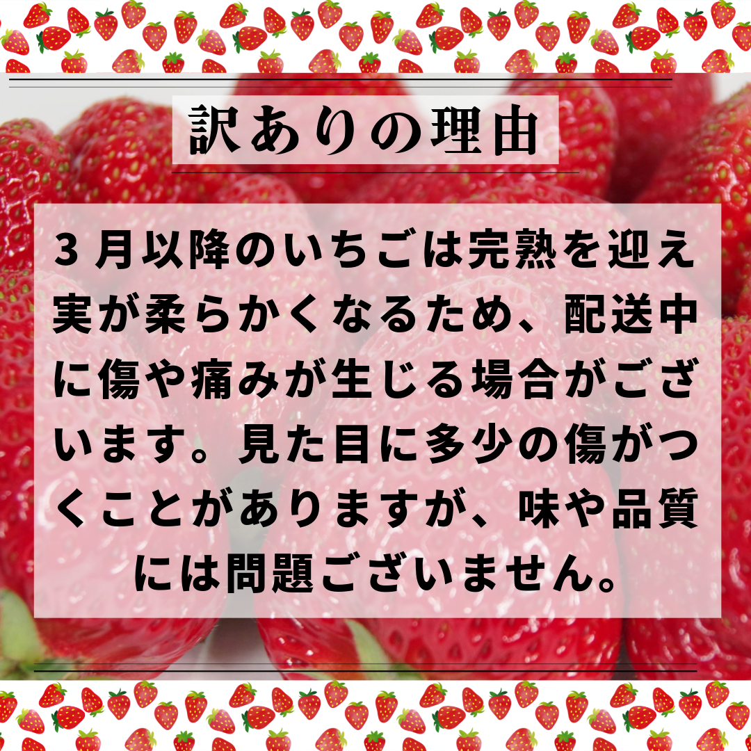 【訳あり】 いちご 紅ほっぺ 大粒 560g以上 ( 約280g × 2パック ) 2週間発送 苺 ストロベリー べにほっぺ 果物 フルーツ ベリー デザート スイーツ おやつ ケーキ ゼリー ジュース ジャム アイス シャーベット スムージー ヨーグルト クレープ タルト チョコ 大福 フルーツサンド ギフト プレゼント 朝摘み 贈答 お取り寄せ グルメ 冷蔵 送料無料 徳島 小松島 