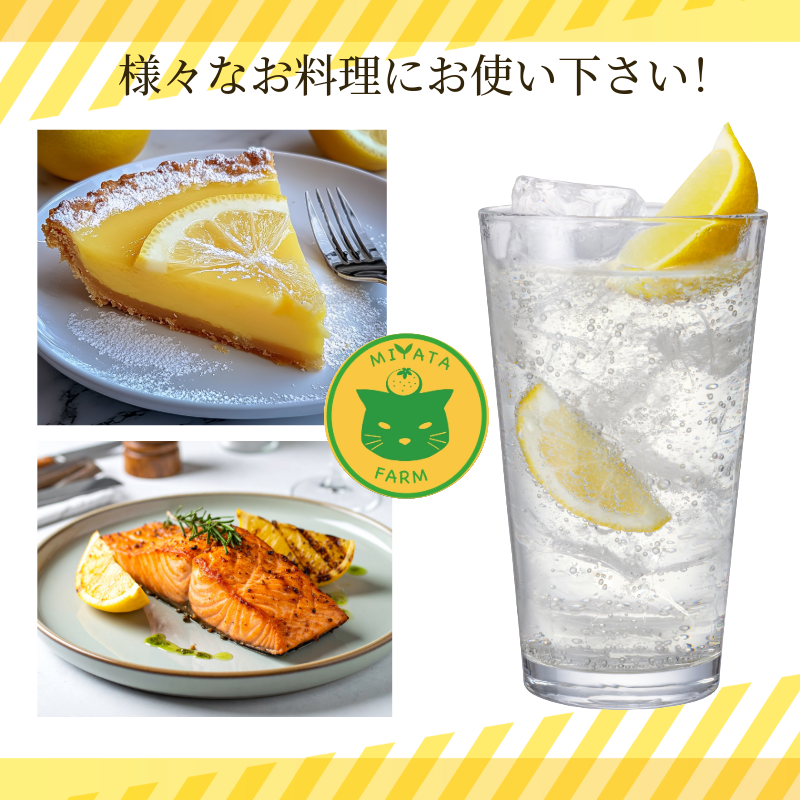 ã¬ã¢ã³ 5kg èš³ãã 2025幎10æé 次çºé åœç£ ã¬ã¢ã³ 檞檬 ããã ã¯ãã¯ã¹äžäœ¿çš é²è
å€äžäœ¿çš ææ© ææ± ãã«ãŒã æå® 埳島 å°æŸå³¶åž