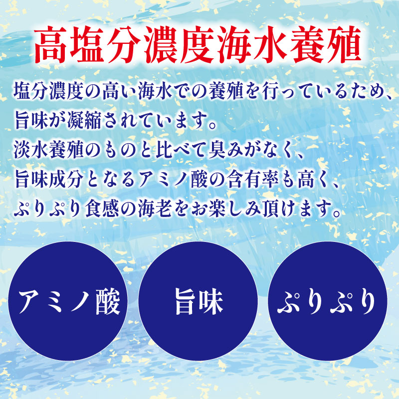 エビ  1.2kg 冷凍 むきえび 海老 バナメイ 特大 超特大 下処理済 高級 時短【北海道･沖縄･離島への配送不可】