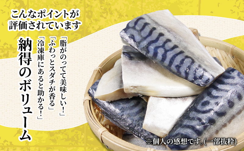 さば 1.3kg 冷凍 | サバ 鯖 鮮魚 切り身 鮮度抜群 海鮮 海鮮食品 おかず 惣菜 魚 塩サバ グリル 焼き魚 切り身 さっぱり すだち風味 夏 人気 切り身 おかず 肉厚 ジューシー アレンジ 時短 お弁当 夕食 朝食 ランチ 手軽 便利 簡単 saba お取り寄せ 海の幸 送料無料 【北海道・東北・沖縄・離島への配送不可】 