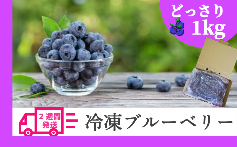 冷凍 ブルーベリー 【訳あり】 2週間発送 1kg 産地直送 フルーツ ブルーベリー 新鮮 人気 果物 おすすめ フルーツ 四国 徳島 小松島 【送料無料】| 産地 直送 新鮮 夏 アイス シャーベット ソフトクリーム ジュース スムージー ヨーグルト 朝食 旬 ふるさと納税ブルーベリー ふるさとブルーベリー