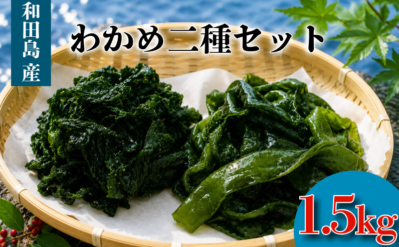 わかめ 二種 セット 汐わかめ 茎わかめ 1.5kg ワカメ 海藻 海産物 海藻サラダ 味噌汁 みそ汁 佃煮 キンピラ 酢のもの 和えもの 煮もの 小分け お徳用 大容量 コリコリ 食感 味噌汁 ごはん 夕飯 おかず サラダ 徳島県 小松島市