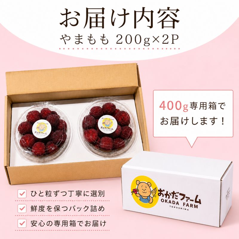 【2026年6月下旬より順次発送】やまもも 400g 小分け パック 季節 フルーツ レア ベリー 山桃 健康 ジャム 果実酒 おやつ お菓子 スムージー 小松島市 国産