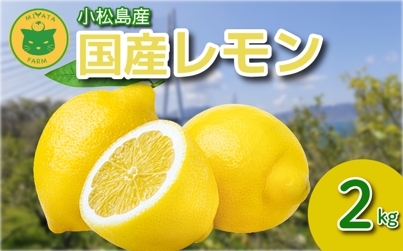 【2026年10月発送】レモン 2kg 秀品  国産 レモン 檸檬 れもん ワックス不使用 防腐剤不使用 柑橘 果汁 フルーツ 果実 徳島 小松島市