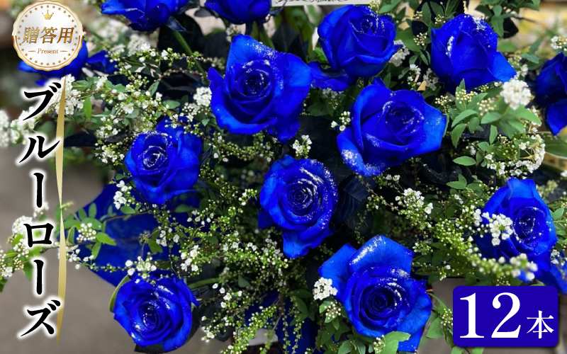 生花 ブルーローズ 12本 青バラ バラ 薔薇 花束  ローズ フラワー ブーケ 生け花 プレゼント 贈り物 ギフト 雑貨 インテリア 人気 記念日 誕生日 フラワーガーデンミモザ  徳島県 小松島