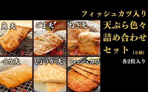 天ぷら 詰め合わせ 6種 計12枚入り おつまみ おやつ おかず ご当地 グルメ ソウルフード 料理 徳島県