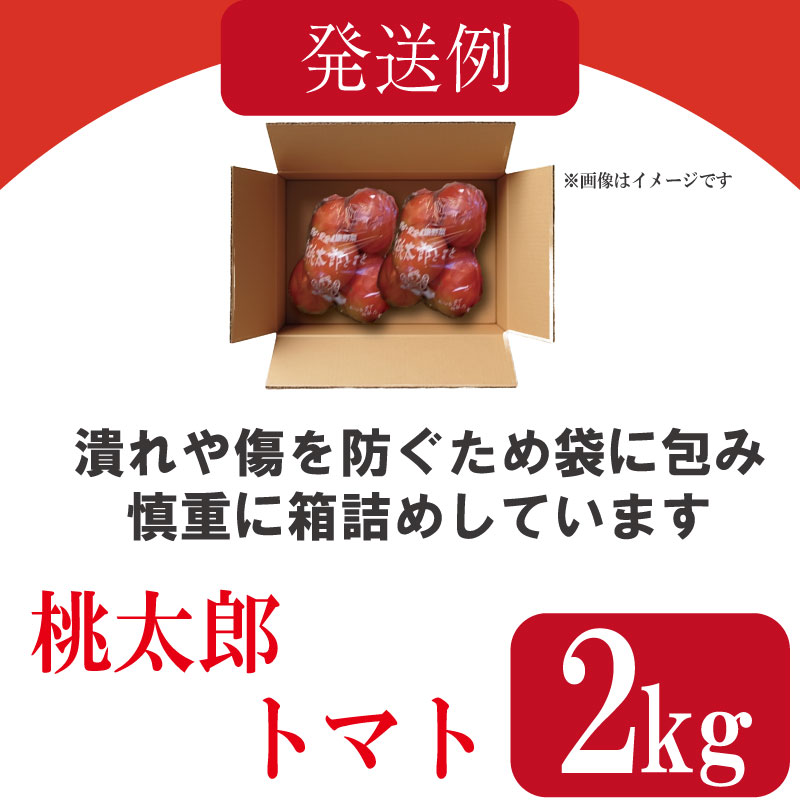 【訳あり】 【2026年3月発送】 トマト 2kg 桃太郎 先行予約  甘い 野菜 やさい 国産 産地直送 数量限定 旬 桃太郎トマト 生野菜 新鮮 ソース 調味料 ケチャップ サラダ 美容 新鮮 健康 お取り寄せ グルメ おすすめ 人気 徳島県 小松島市