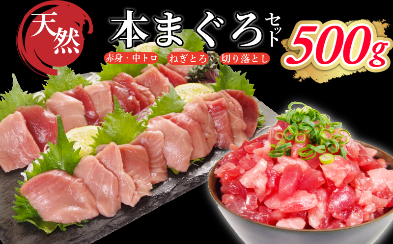 天然本まぐろセット 500g(100g×5P） マグロ 本まぐろ 中とろ ネギトロ 赤身 天然 鮪 小分け 冷凍 刺身 漬け 晩酌 寿司 ユッケ マグロ丼 ねぎとろ 海鮮