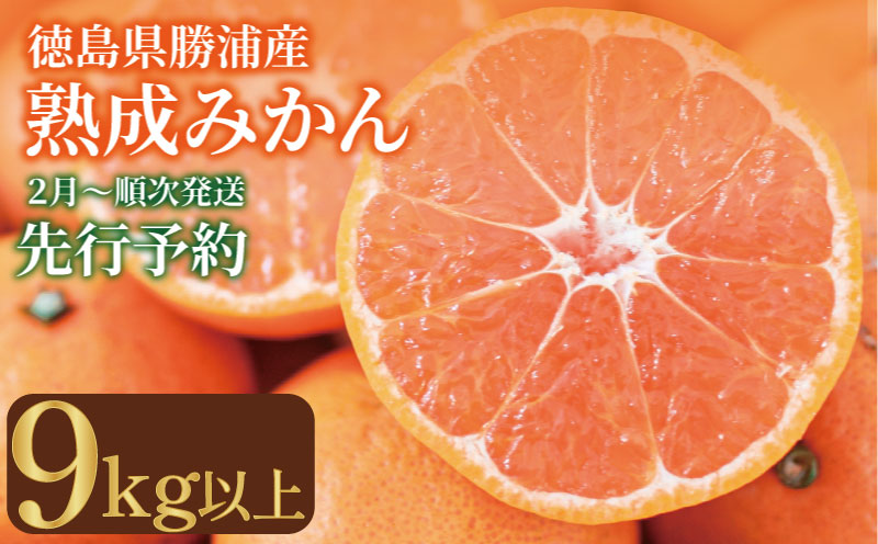 みかん 9kg 熟成 みかん 優品 L~LL 国産 徳島県 勝浦産 貯蔵 果物 フルーツ 柑橘 晩生 みかん 蜜柑 おやつ 甘い 温州 オレンジ 人気 産地直送 数量限定 2026年2月順次発送 徳島県 小松島市 ※北海道・東北・沖縄・離島配送不可