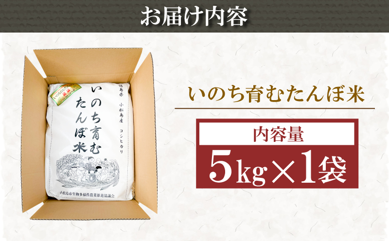 2週間発送】 米 コシヒカリ 5kg 徳島県 白米 栽培期間中無農薬 精米