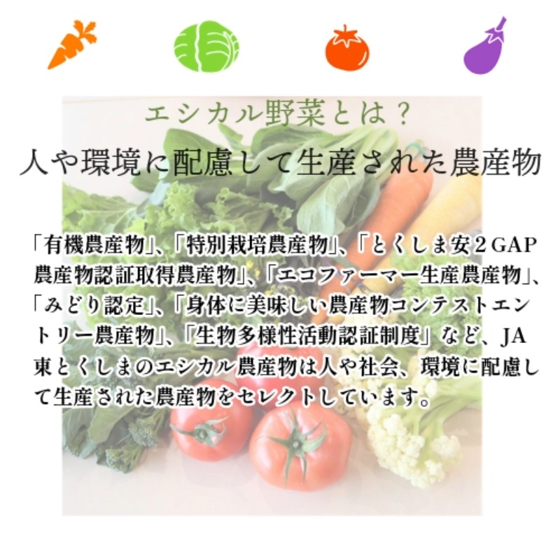 旬のエシカル野菜5種セット 野菜 おまかせ 新鮮 採れたて 産地直送 やさい とうもろこし トマト 減農薬 きのこ オクラ 玉ねぎ 美味しい 小松島市