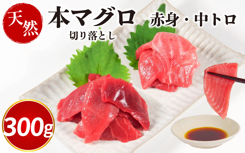 天然本まぐろ 切り落とし 300g(100g×3P） マグロ 本まぐろ 中とろ 赤身 天然 鮪 小分け 冷凍 刺身 漬け 晩酌 寿司 ユッケ マグロ丼 ねぎとろ 海鮮