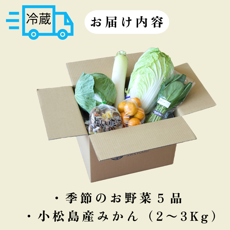 訳あり 季節のお野菜5品とみかんセット 季節 旬 野菜 詰め合せ 国産 みかん 季節 旬 おまかせ 産地直送 春野菜 夏野菜 秋野菜 きのこ 葉物 果物 果菜 根菜 冷蔵 野菜室 ダイエット 食 栄養食 加工品 カット野菜 小松島産 季節限定