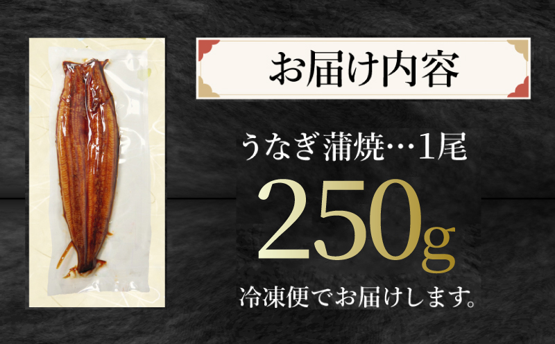 特大 うなぎ 250g 1尾 冷凍 蒲焼き かばやき うな重 ひつまぶし タレ 山椒 鰻 ウナギ うなぎ 父の日 丑の日 ※北海道･東北･沖縄･離島へ配送不可