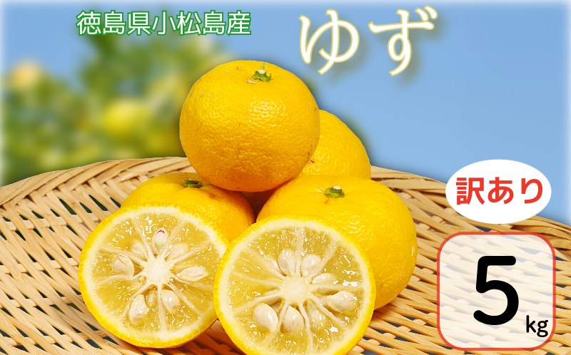 【訳あり】 ゆず 5kg 柚子 ゆず ユズ フルーツ 果物 柑橘 黄色 果皮 果汁 ゆずごしょう 柚子胡椒 スイーツ デザート アレンジ 柚子風呂 ゆず風呂 小松島市