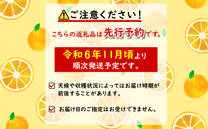 【先行予約】 2024年11月発送 みかん 10kg 秀品 M~L 国産 徳島県 勝浦産 果物 フルーツ 早生 獲れたて 蜜柑 温州 産地直送 数量限定 【北海道・東北・沖縄・離島配送不可】