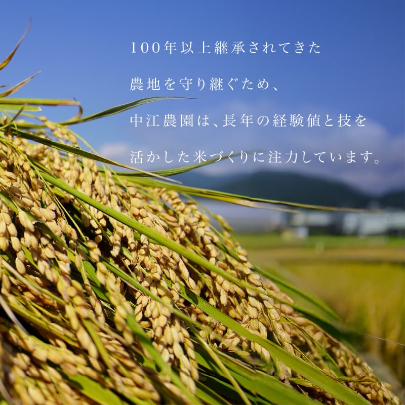 縲2026蟷エ8譛井ク区流鬆谺。逋コ騾√台サ、蜥8蟷エ逕」 譁ー邀ウ繧ウ繧キ繝偵き繝ェ 5kg 逋ス邀ウ 邀ウ 謨ー驥 髯仙ョ 縺薙@縺イ縺九j 5繧ュ繝ュ 邀ウ5kg 縺斐ッ繧 縺薙a 繧ウ繝。 縺ッ縺上∪縺 okome kome 縺翫縺吶ウ 縺翫↓縺弱j 蝗ス逕」 鬟ッ 縺翫%繧 蟆乗收蟲カ蟶