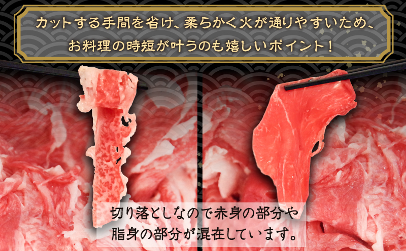 <2024年9月末受付終了>切り落とし 肉 阿波牛 1kg 500g × 2パック 国産牛 特選 黒毛和牛 冷凍