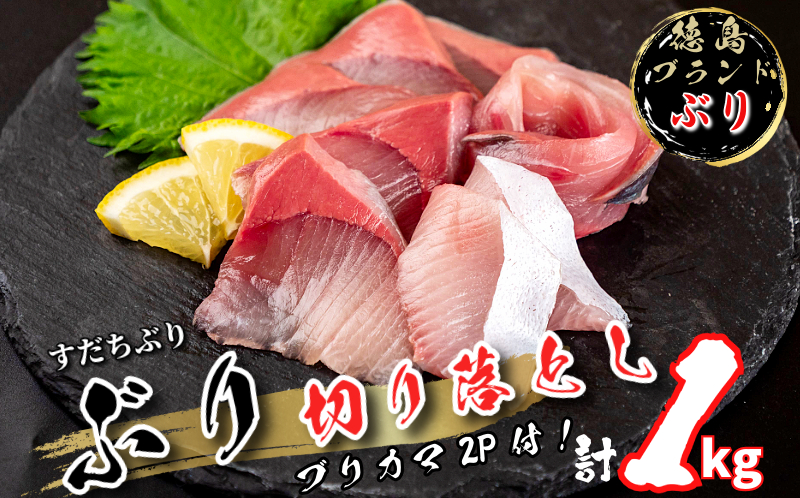 ぶり 切り落とし ブリカマ2Pセット 計1Kg 徳島ブランド すだち 鰤 ブリ 刺身 ぶりしゃぶ 丼 ブリカマ 焼き魚 スダチ 海産物 冷凍 徳島 小松島市