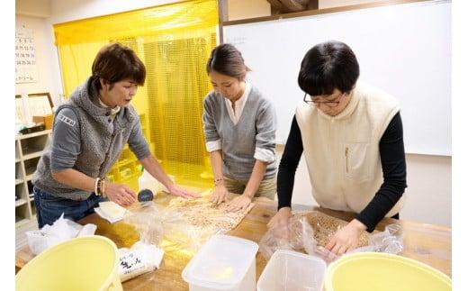 味噌 作り 体験 持ち帰り 2kg お土産 軽食 付き 醤油 醸造場 調味料 手作り 徳島県 2キロ