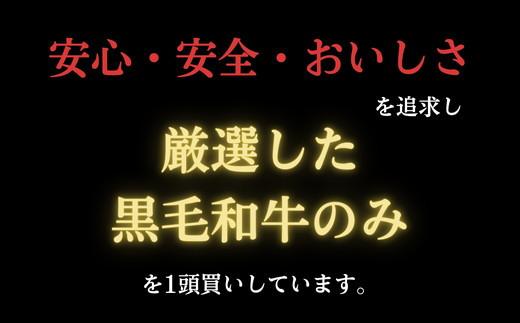 【定期便】特選黒毛和牛（阿波牛）切り落とし 550g×3回 ＜冷凍＞｜ロース モモ カタ※離島への配送不可