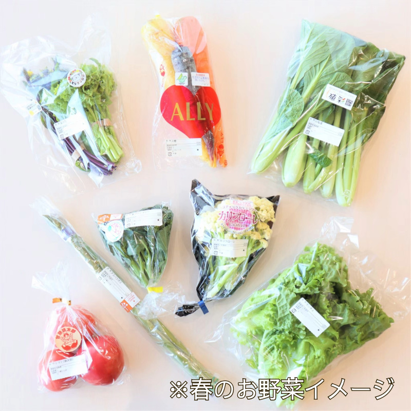 エシカル野菜5種とお米のセット 野菜 米 新鮮 採れたて 産地直送 やさい とうもろこし トマト 減農薬 きのこ オクラ 玉ねぎ 美味しい 小松島市