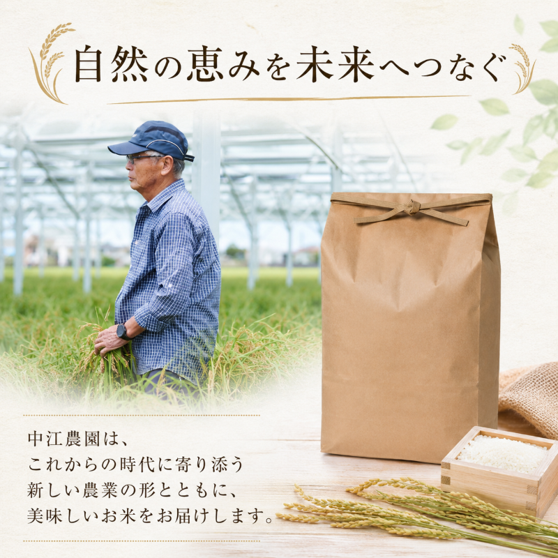 令和7年産 コシヒカリ 5kg 白米 米 数量 限定 こしひかり 5キロ 米5kg ごはん こめ コメ はくまい okome kome おむすび おにぎり 国産 飯 おこめ 小松島市