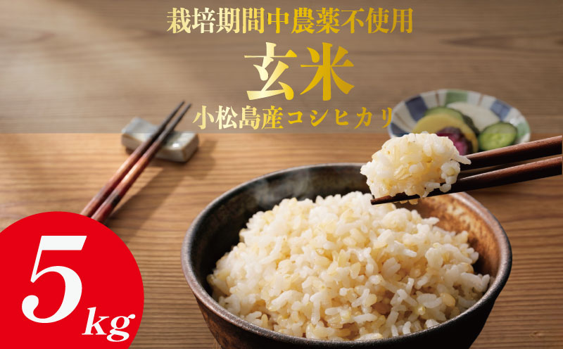【令和7年産】玄米 5kg コシヒカリ 令和7年産 米 こめ ご飯 ごはん おにぎり 卵かけご飯 白米 栽培期間中農薬不使用 食品 備蓄 備蓄米 保存 防災 ギフト 贈答 プレゼント お取り寄せ グルメ 送料無料 徳島県