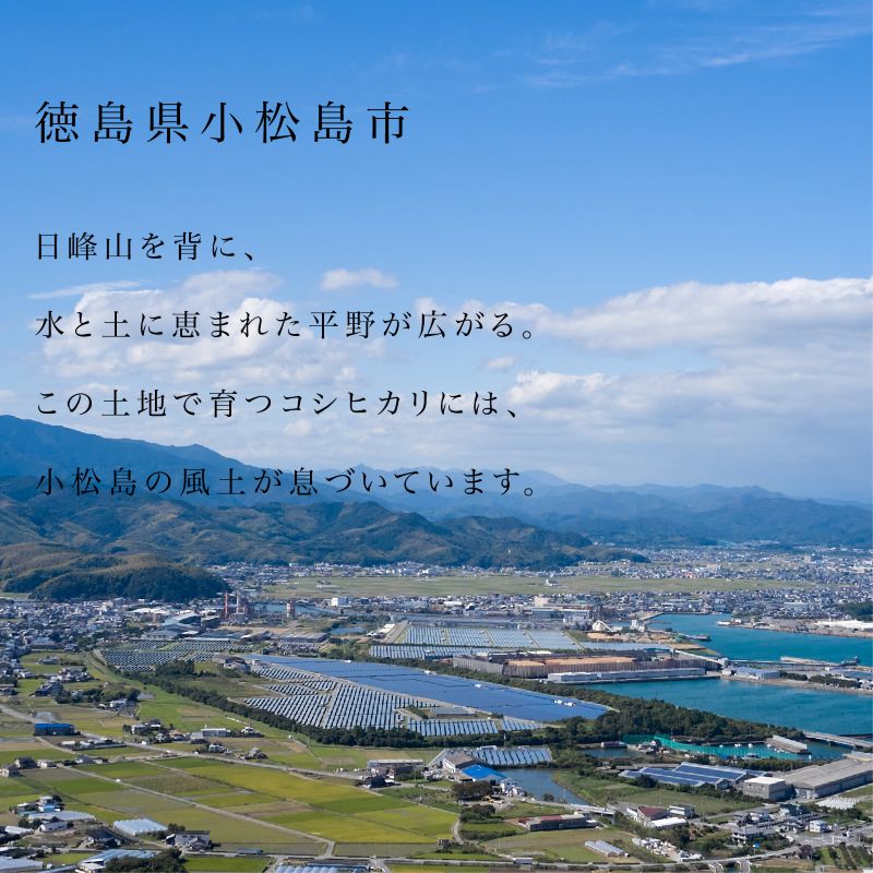 縲2026蟷エ8譛井ク区流鬆谺。逋コ騾√台サ、蜥8蟷エ逕」 譁ー邀ウ繧ウ繧キ繝偵き繝ェ 5kg 逋ス邀ウ 邀ウ 謨ー驥 髯仙ョ 縺薙@縺イ縺九j 5繧ュ繝ュ 邀ウ5kg 縺斐ッ繧 縺薙a 繧ウ繝。 縺ッ縺上∪縺 okome kome 縺翫縺吶ウ 縺翫↓縺弱j 蝗ス逕」 鬟ッ 縺翫%繧 蟆乗收蟲カ蟶