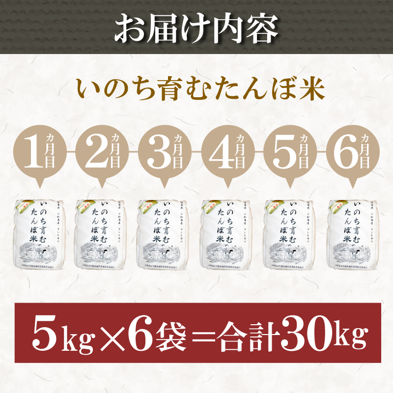 【定期便6回】 玄米 コシヒカリ  計30kg 5kg×6回 定期便 栽培期間中無農薬 ｜ 徳島県 ふるさと納税 新生活 四国 徳島 小松島 新生活 おいしい お米 米 こめ おこめ 国産 限定 ごはん ご飯 ゴハン ふるさと ランキング 人気 安全 安心 栄養 おすすめ 送料無料 国産 TKG 卵かけご飯 おにぎり おむすび いのち育む田んぼ米 生物多様性 ｜北海道･東北･沖縄･離島への配送不可