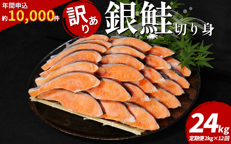 訳あり 鮭 定期便 12回 (2kg × 12回 24kg) さけ サケ 銀鮭 切り身 切身 サイズ 不揃い サーモン ごはん のお供 おつまみ 酒の肴 魚 魚介 小魚 海鮮 海産物 おかず お米 シャケ 塩銀鮭 塩さけ 塩サケ グルメ 訳アリ 家庭用 弁当 食品 新鮮 冷凍  徳島県